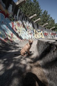 Verlassene Bobbahn in Sarajevo