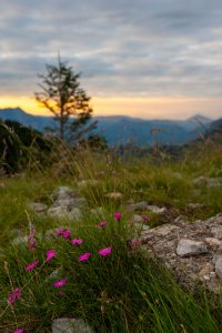 Sonnenuntergang am Parkplatz Prijevor